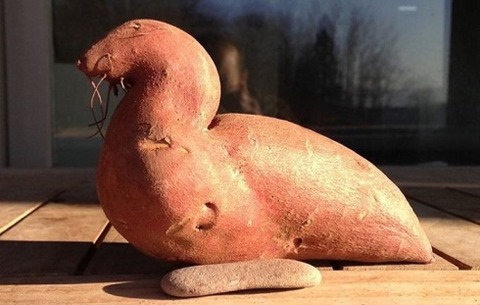 fruit-vegetables-10