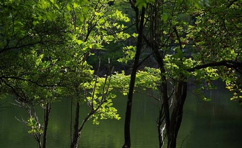 1895336blog