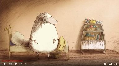 sheep13