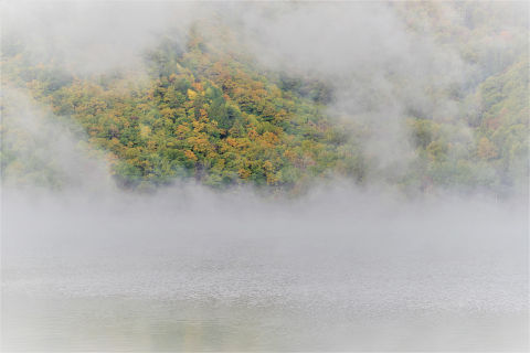 1IMGP3818 (2)