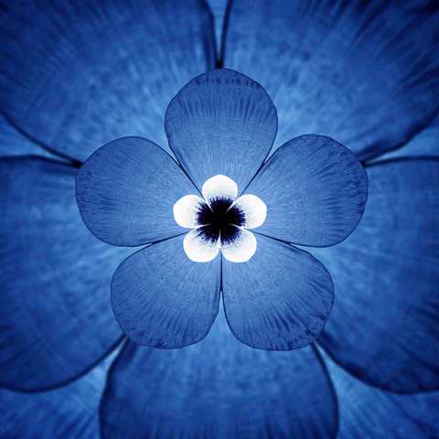 003472d0c1b