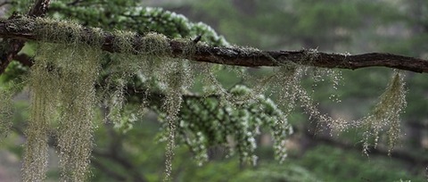 2IMG_1689
