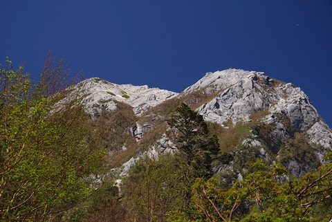 4IMGP0659
