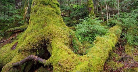 13458697_blog