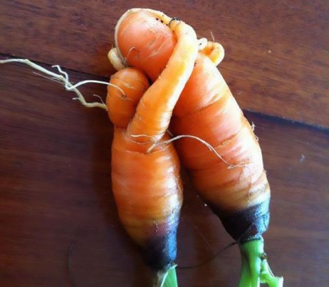 fruit-vegetables-4