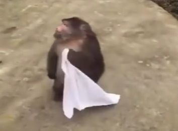 monk14