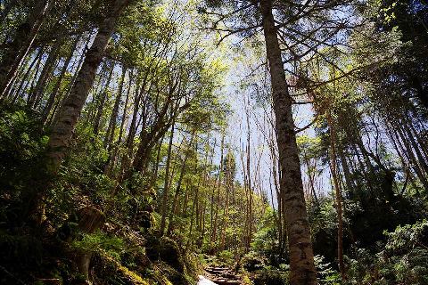 19059484_125blog