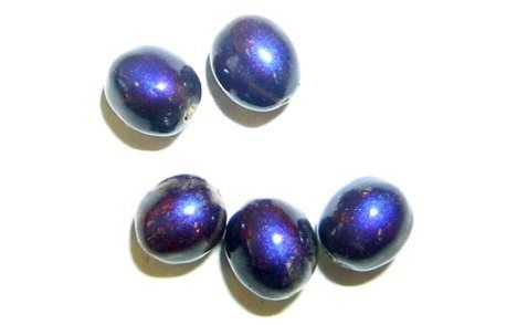 Pollia-condensata-marble-