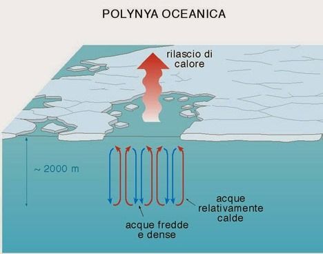polynya (1)