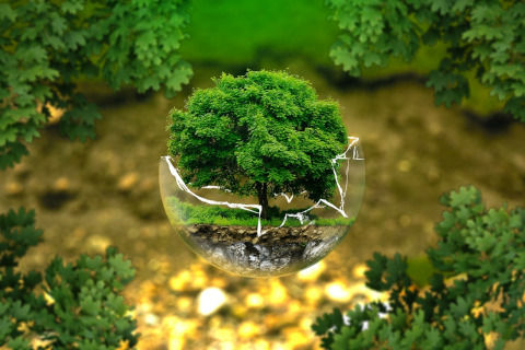 environmental-protection-326923_1280