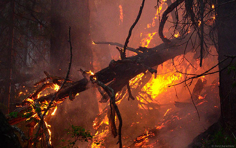 inside_fire_1