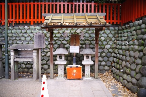 2IMGP0899