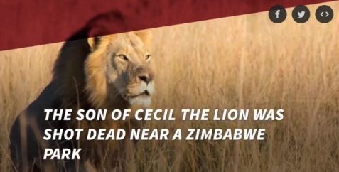 cecil2