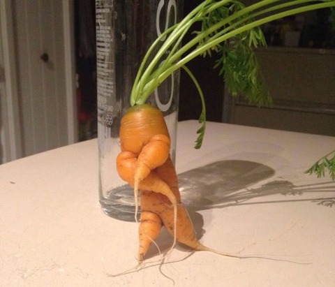 fruit-vegetables-8