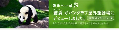 hitoridashi_bnr2_20171214