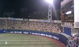 d4228393.jpg