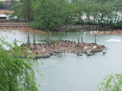 resize0110