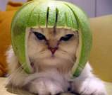 neko