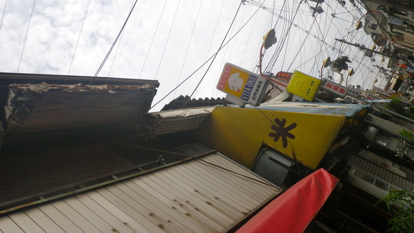 IMGP7009