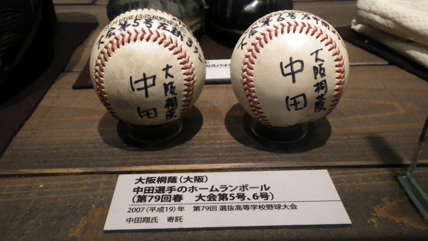 IMGP6573