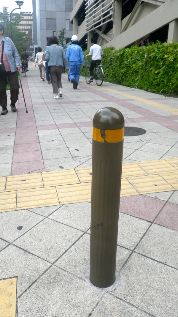 IMGP7019