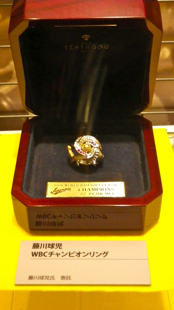 IMGP6732