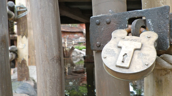 IMGP9955