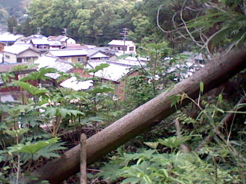 HNI_0057