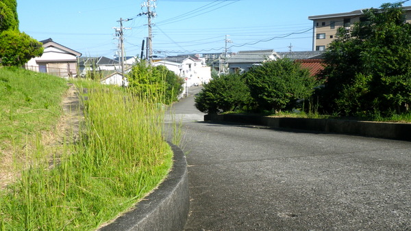IMGP0264