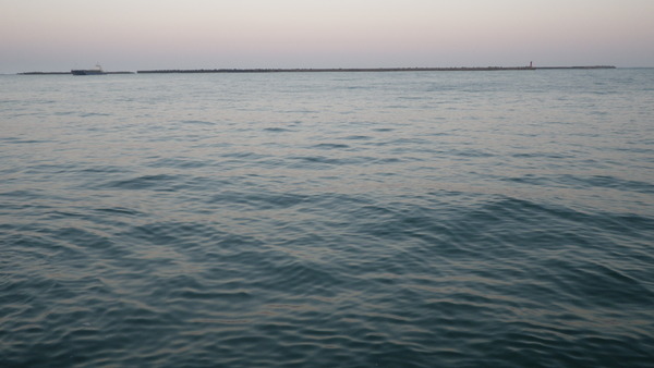 IMGP0272