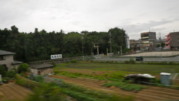 IMGP7039