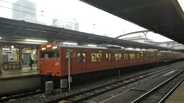 IMGP7033