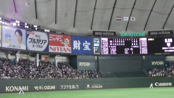 IMGP9868