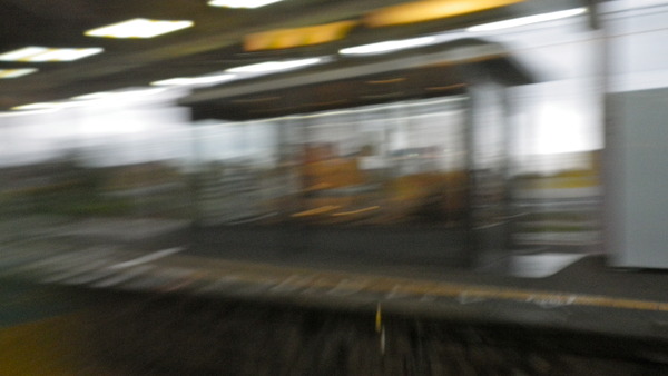 IMGP7055