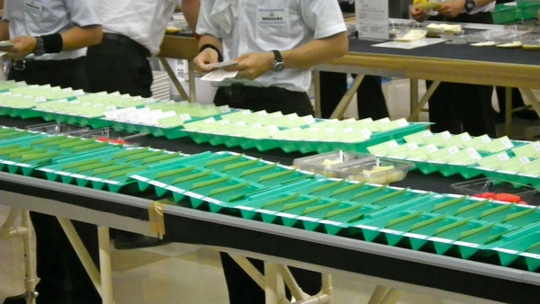 IMGP7518