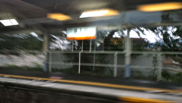 IMGP7044