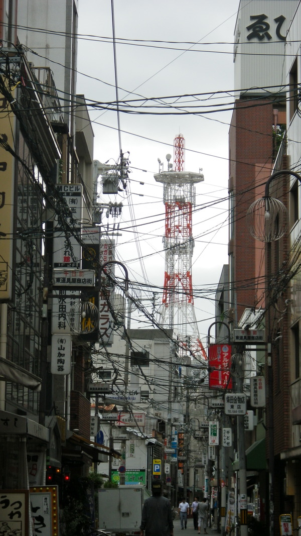 IMGP6959