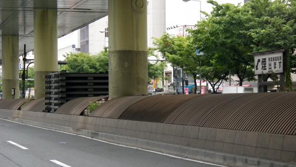 IMGP6954