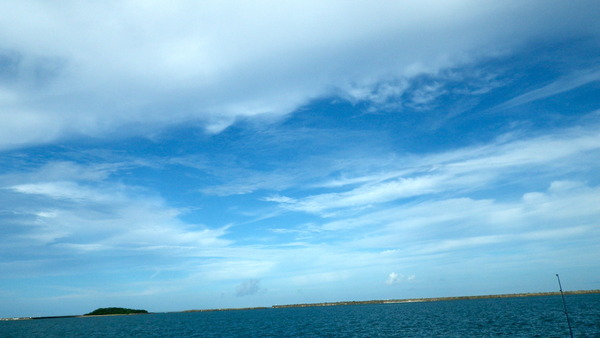 IMGP9436
