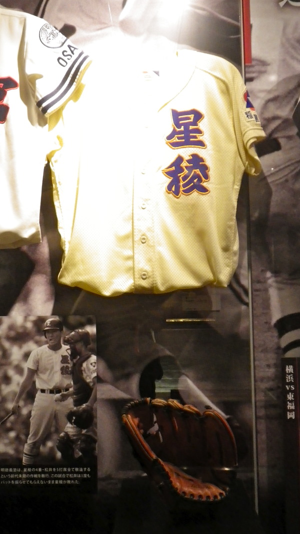 IMGP6584
