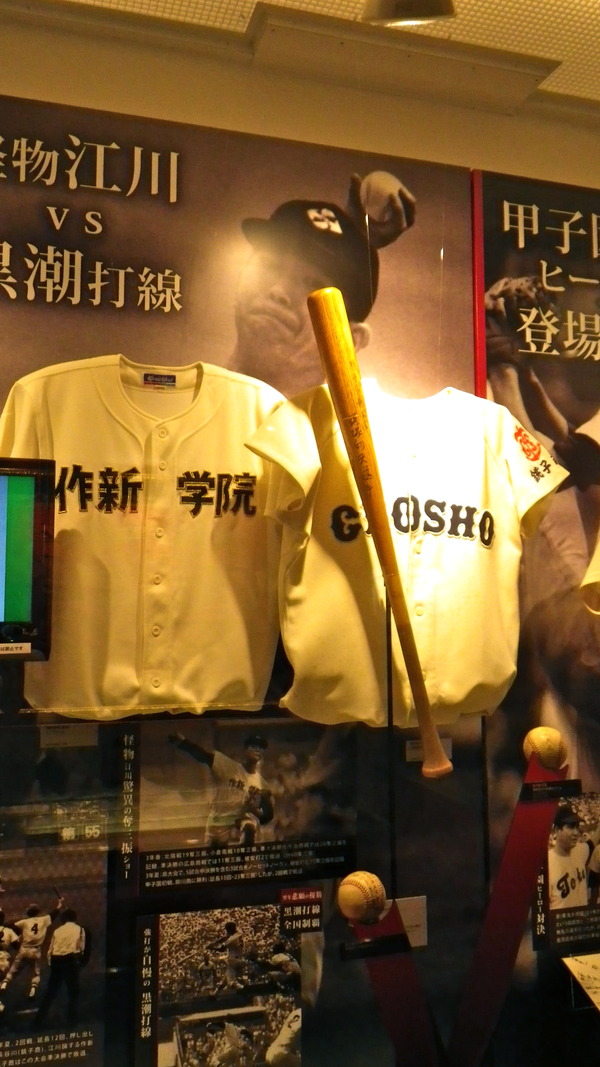 IMGP6561