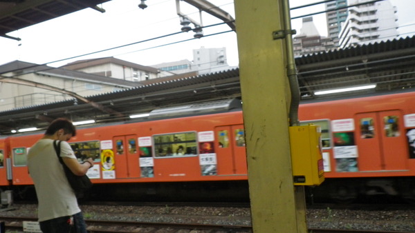 IMGP7037