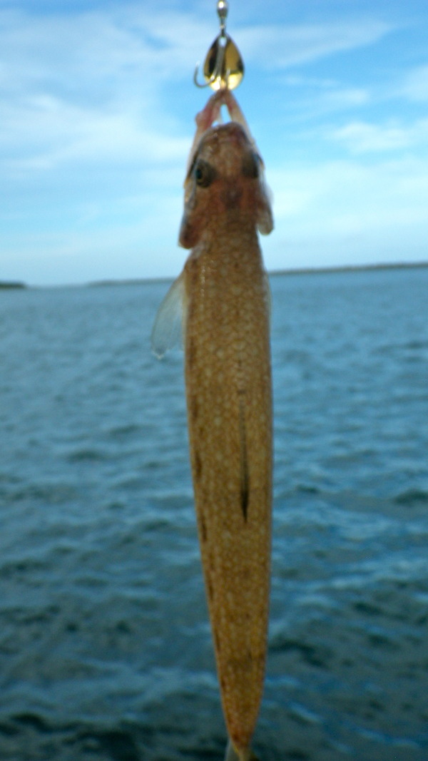 IMGP9440