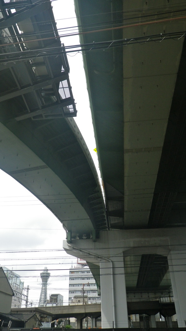 IMGP7005