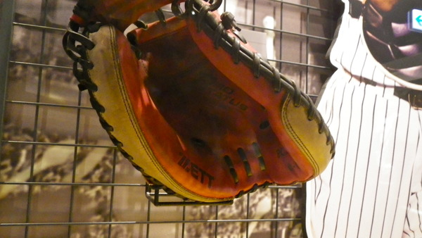 IMGP6730