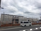 acee3820.jpg