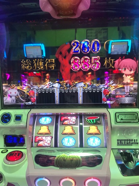 IMG-2029