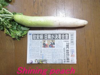 1512282