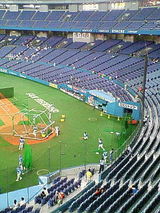 3d09d7d5.jpg