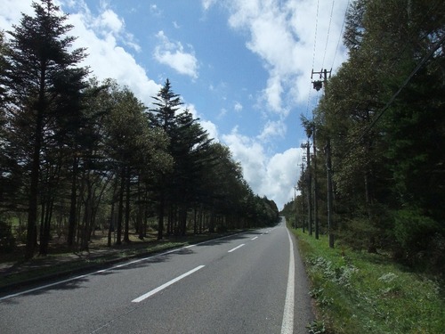 DSCF0491